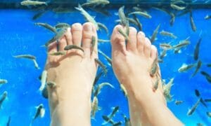 fish spa Salou